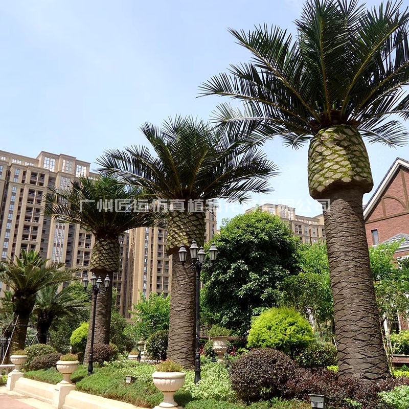 福建保利仿真海枣树